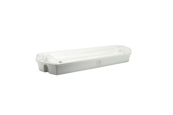 IP65 1,5-3W Światła awaryjne LED Budownicze AC 220V Materiał ABS